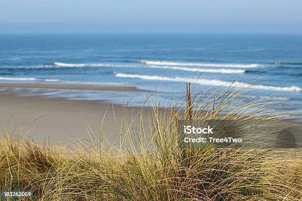 Cote Dargentdünen Und Gras Und Des Atlantiks Im Hintergrund Stockfoto und mehr Bilder von Strand