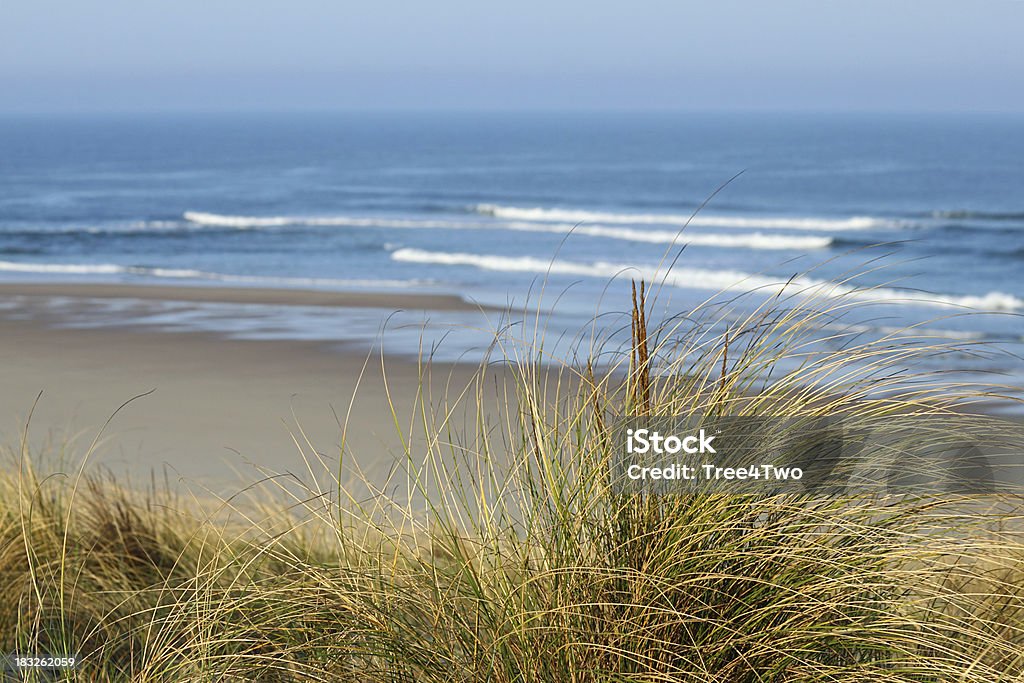 Cote d'Argent-Dunes com grama e Atlântico ao fundo - Foto de stock de Praia royalty-free