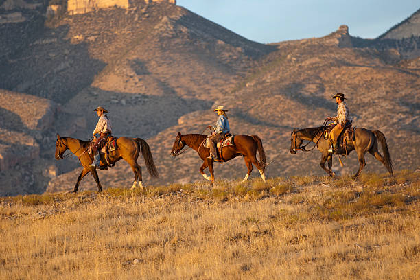 trois cyclistes marche de chevaux au coucher du soleil en direction de wyoming - women bride personal accessory adult photos et images de collection