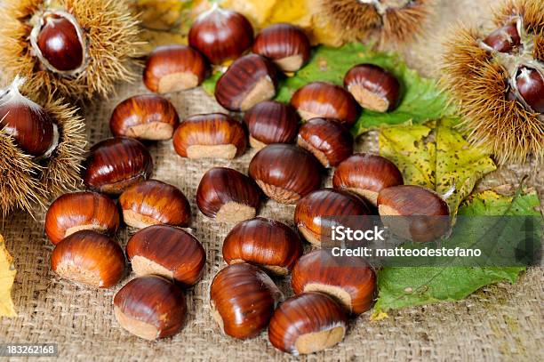 Castaña Foto de stock y más banco de imágenes de Alimento - Alimento, Arpillera, Castaña