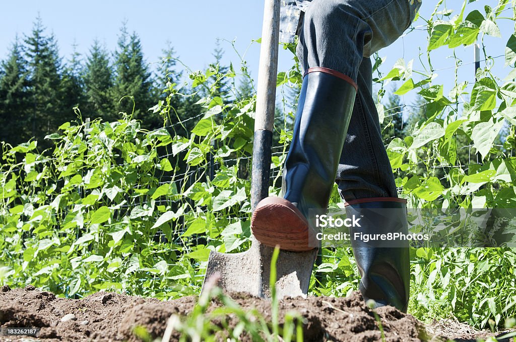 Person Arbeiten im Garten - Lizenzfrei Ansicht aus erhöhter Perspektive Stock-Foto