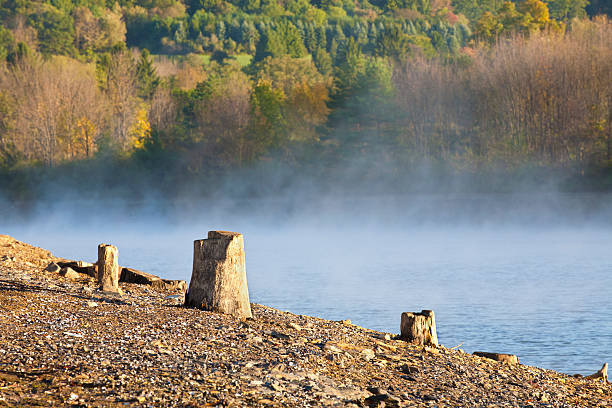 Terra brulla e lussureggianti - foto stock