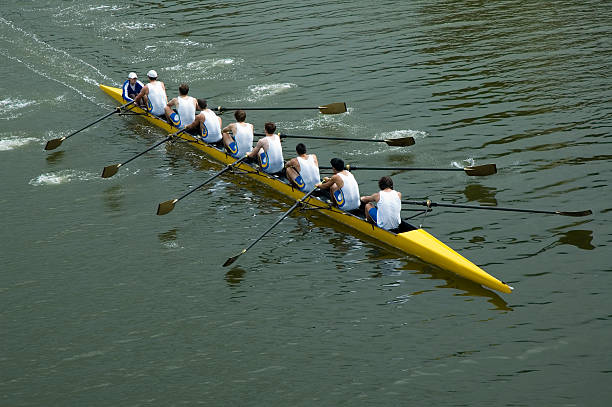 męskie 8 człowieka wiosłować zespołu-pracy zespołowej - oar rowing sport rowing team zdjęcia i obrazy z banku zdjęć