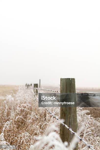 Frosty Parete - Fotografie stock e altre immagini di Agricoltura - Agricoltura, Brina - Acqua ghiacciata, Composizione verticale
