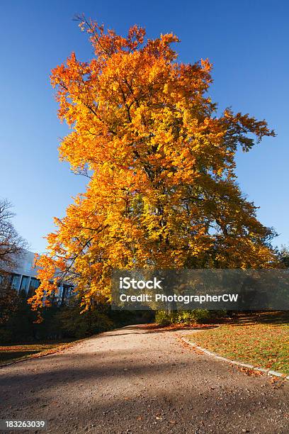 Foto de Outono Em Copenhague e mais fotos de stock de Amarelo - Amarelo, Azul, Capitais internacionais