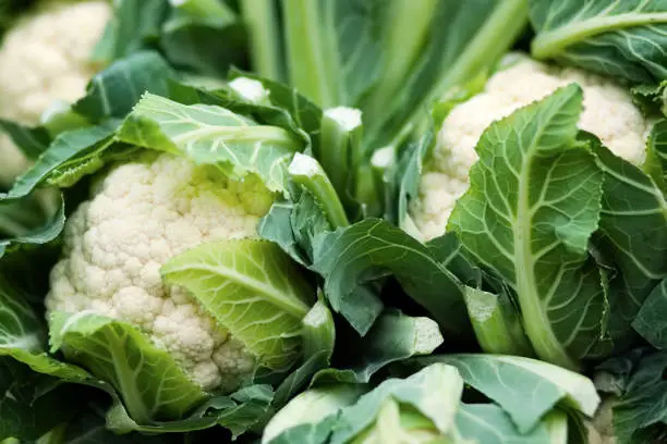 Photo of Cauliflower