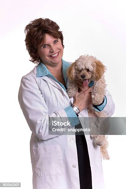 Animal Health Care Professional - Fotografie stock e altre immagini di Accudire - Accudire, Adulto, Adulto in età matura