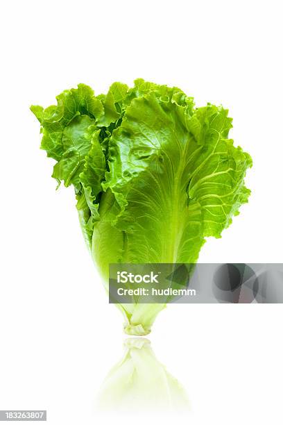 Frischer Salat Isoliert Auf Weißem Hintergrund Stockfoto und mehr Bilder von Agrarbetrieb - Agrarbetrieb, Blatt - Pflanzenbestandteile, Einzelner Gegenstand