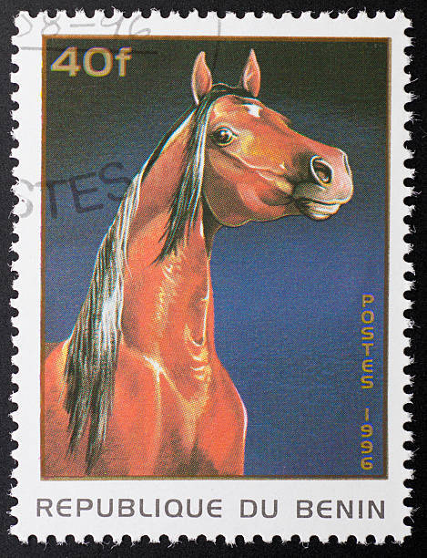 istock motive stamp Benin - arabian horse 183263973