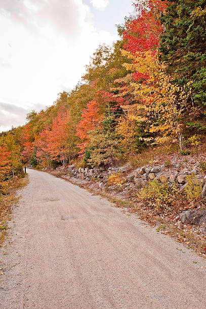 rural road in autumn stock photo