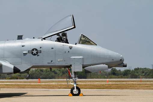 A - 10 jabalí verrugoso cabina de perfil photo