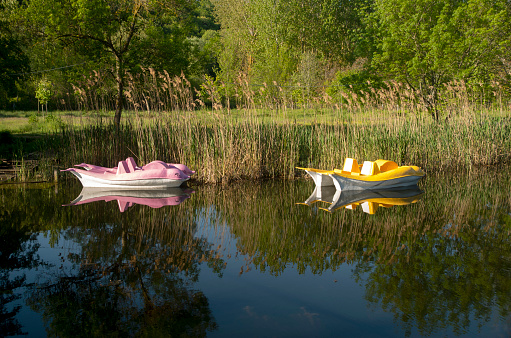 Two pedalo  or Paddle Wheel Boat in the shape of dolphins in the reeds of a lake