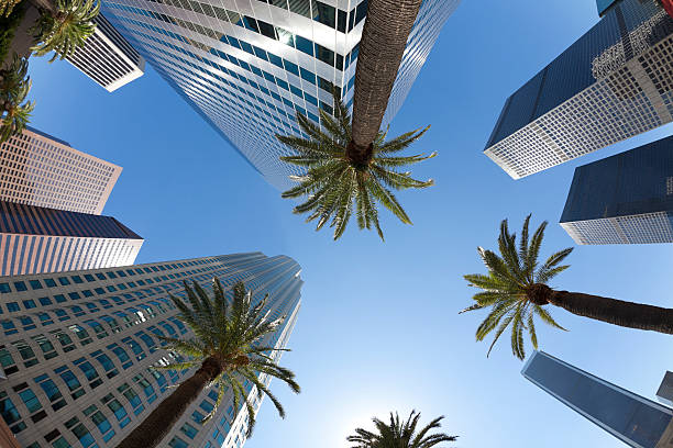 istock Los Angeles - Fish Eye View 183265073