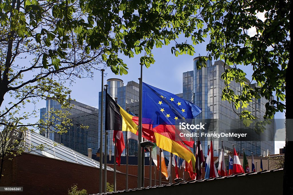Flags in front of European Parliament, Brussels "Blue/yellow European flag, among others,fluttering in front of the European Parliament building in Brussels." European Parliament Stock Photo