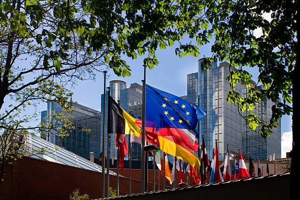 Flags in front of European Parliament, Brussels "Blue/yellow European flag, among others,fluttering in front of the European Parliament building in Brussels." european parliament stock pictures, royalty-free photos & images
