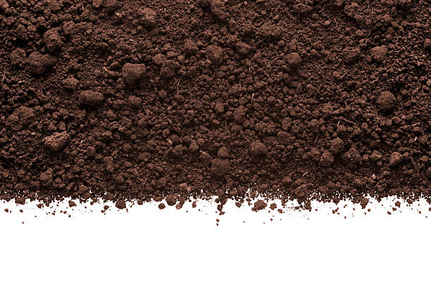 Humus Soil stock photo