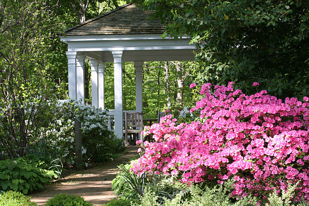 gazebo in primavera - azalea foto e immagini stock