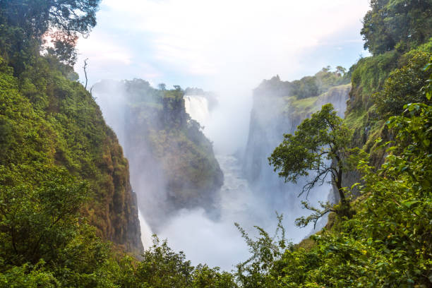 istock Victoria Falls, Zimbabwe, Africa 1832654536
