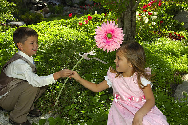 heureux de marguerite rose - formal garden ornamental garden child single flower photos et images de collection