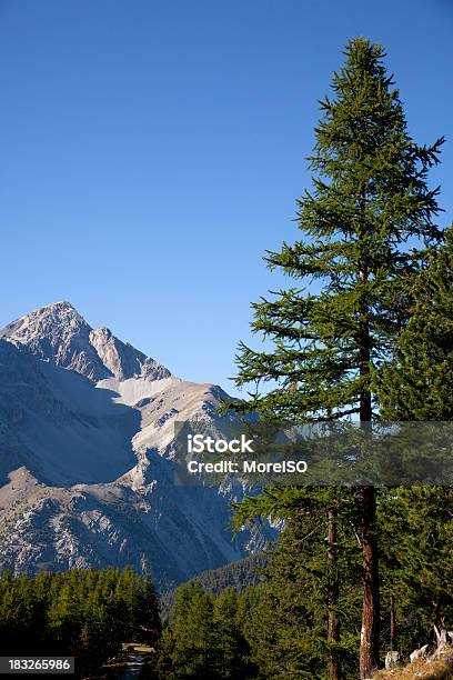 Berglandschaft Mount Chaberton Niemand Stockfoto und mehr Bilder von Ast - Pflanzenbestandteil - Ast - Pflanzenbestandteil, Baum, Baumbestand