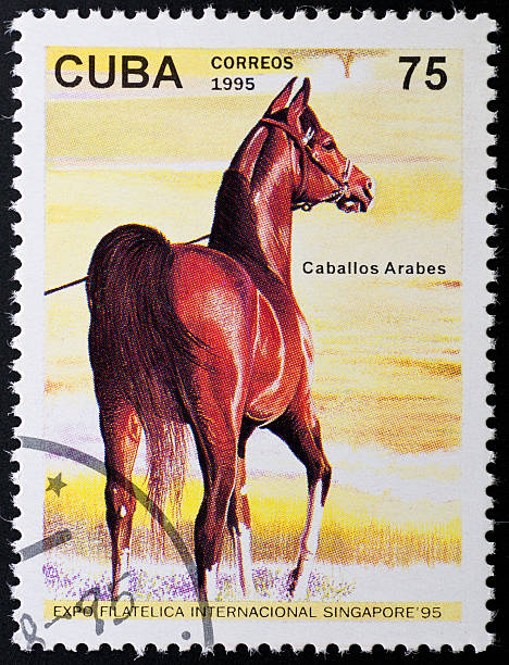 istock motive stamp Cuba - arabian horse 183266077