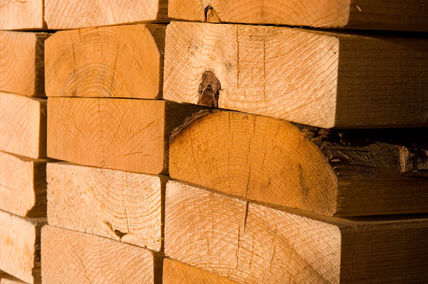 istock Stacks of Building Lumber 183266411