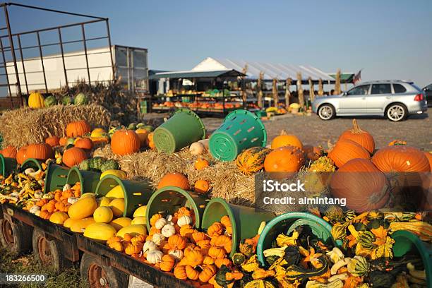 Mercado De Carretera Foto de stock y más banco de imágenes de Alimento - Alimento, Borde de la carretera, Calabaza gigante