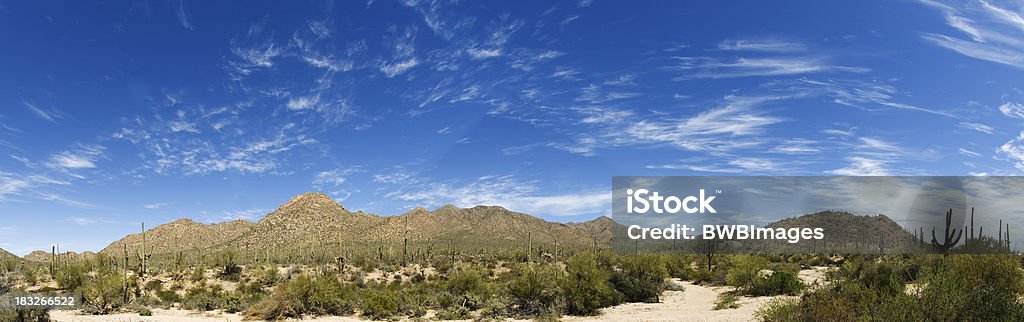 Arizona Desert / Mountain Panorama "Arizona mountains and desert with Saguaro cactus near Tucson, Arizona" Arizona Stock Photo