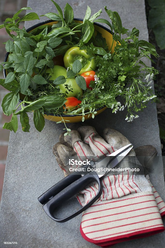 Hierbas y vegetales frescos de corte - Foto de stock de Aire libre libre de derechos