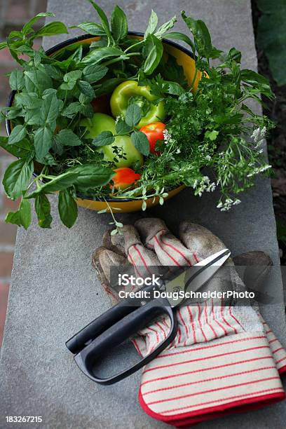 Hierbas Y Vegetales Frescos De Corte Foto de stock y más banco de imágenes de Aire libre - Aire libre, Albahaca, Alimento