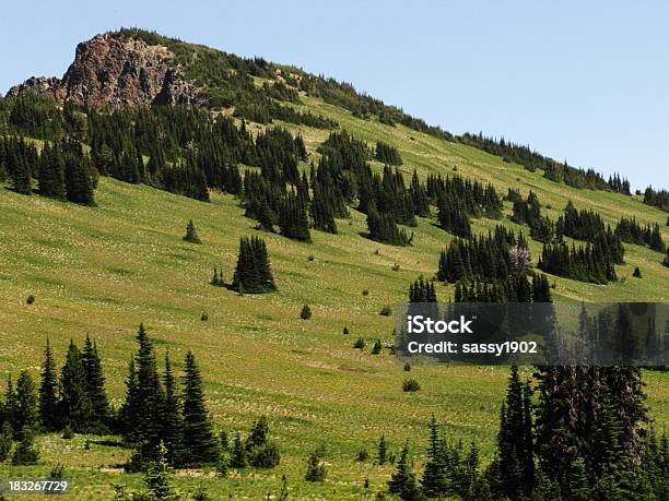 Valley North Cascade Mountain Stockfoto und mehr Bilder von Abenteuer - Abenteuer, Baum, Berg