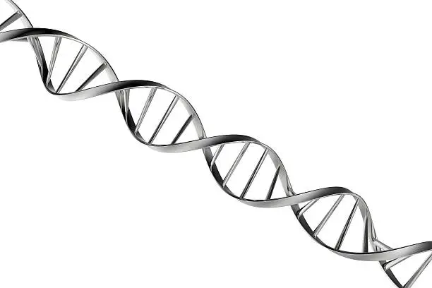 Photo of Dna