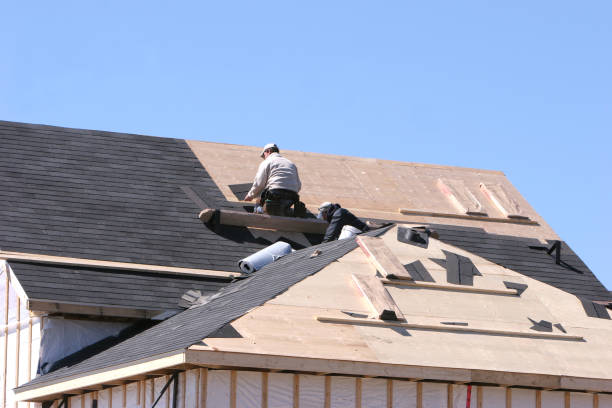 pierwsze dachu gotowe - roof roofer wood shingle house zdjęcia i obrazy z banku zdjęć