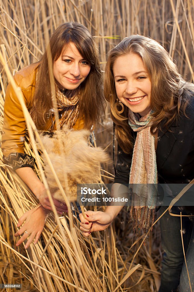 Young Women and Beautiful Yellow Reeds: shaking flowers Young Women and Beautiful Yellow Reeds Adult Stock Photo