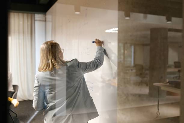istock Woman explaining her ideas on a business meeting 1832682352