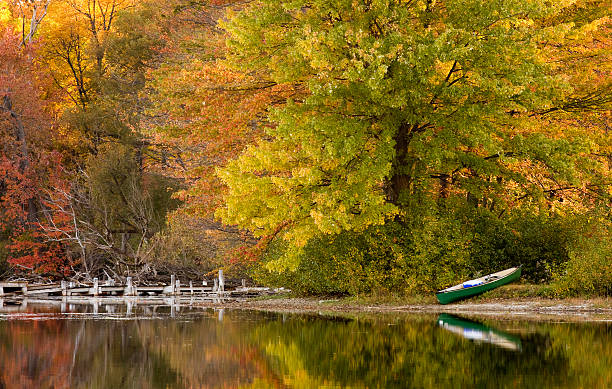 istock Canoe and Dock Against Autumn Foliage at Westminster Ponds 183268501