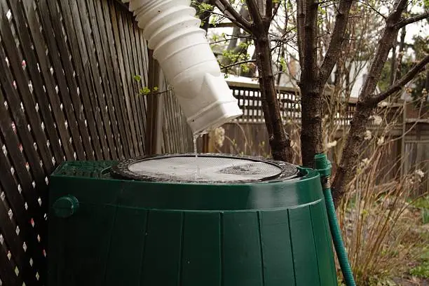 "On a cold overcast rainy day, the rainbarrel fills up with a slow trickle from the eaves.When you review this file, admins, please get some of these terms mapped!!!! Thank you. ;)"