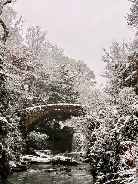 Bridge over water in a wintry Jesmond Dene in Newcastle Upon Tyne Bridge over water in a wintry Jesmond Dene in Newcastle Upon Tyne jesmond stock pictures, royalty-free photos & images