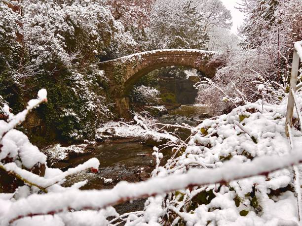 Bridge over water in a wintry Jesmond Dene in Newcastle Upon Tyne Bridge over water in a wintry Jesmond Dene in Newcastle Upon Tyne jesmond stock pictures, royalty-free photos & images