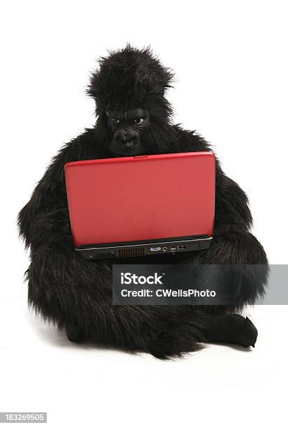 Foto de Monkey Businesslaptop e mais fotos de stock de Animal - Animal, Aprender, Branco