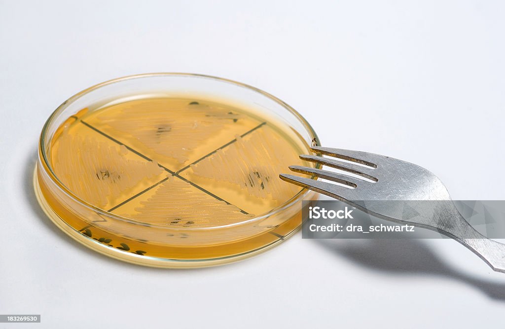 음식 과학자 - 로열티 프리 대장균 스톡 사진