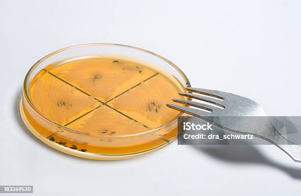 Foto de Comida Para Os Cientistas e mais fotos de stock de E.Coli - E.Coli, Comida, Alimentação Saudável