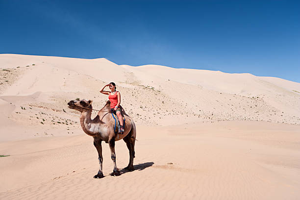 istock Young woman riding on the camel 183270390