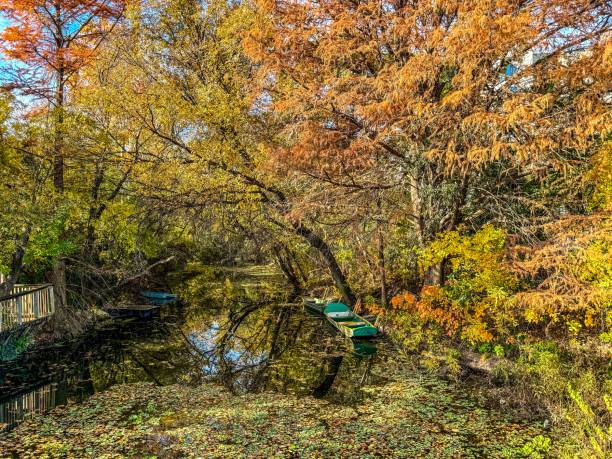 istock Boats on Water in Autumn 1832705860