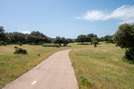 rural road in the middle of the Extremadura pasture to walk and play sports and have a healthy life.