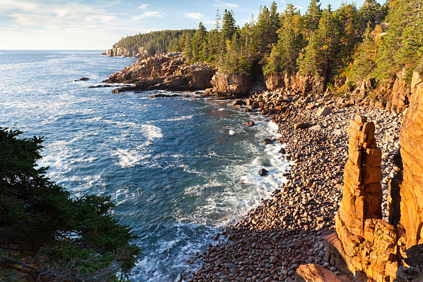 istock Monument Cove at Acadia 183271458