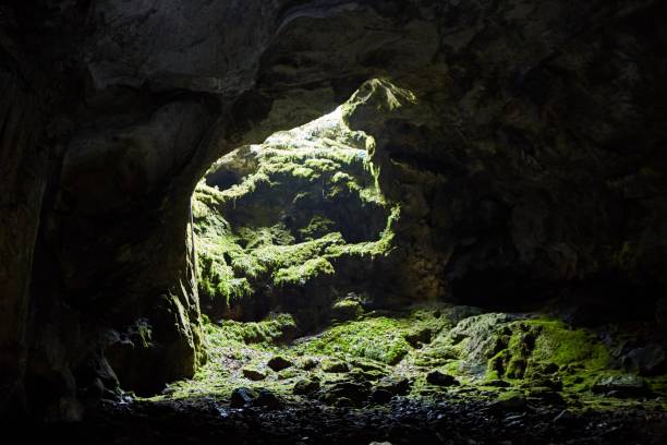istock Dark cave view from inside with a lumen. Stalactites and stalagmites inside the stone grotto. Colorful stones in the cave. Lighting electricity beauty of the cave. 1832715038