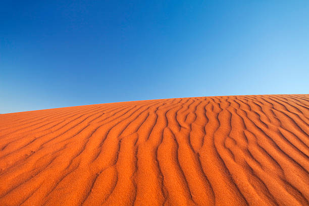 Perfect red sand dune and a clear blue sky.