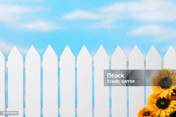 Cerca De Estacas Sunflowers Céu - Fotografias de stock e mais imagens de Cerca de Estacas - Cerca de Estacas, Girassol, Branco