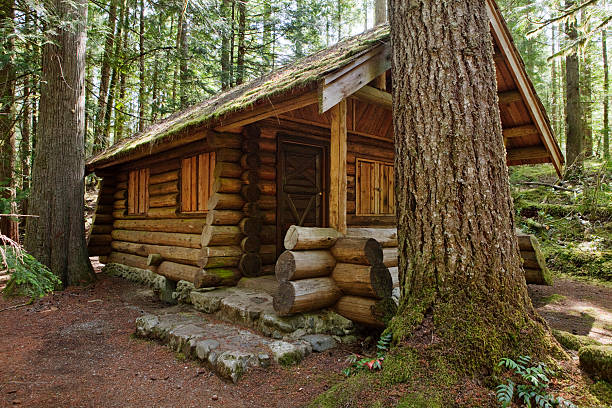 istock A hand made log cabin in the woods 183271964